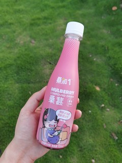桑加1复合果汁饮料 一瓶便携，品味混合果香的美好时光